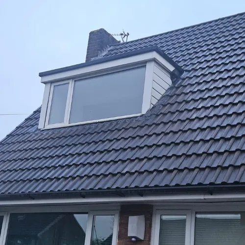 Recent roof project